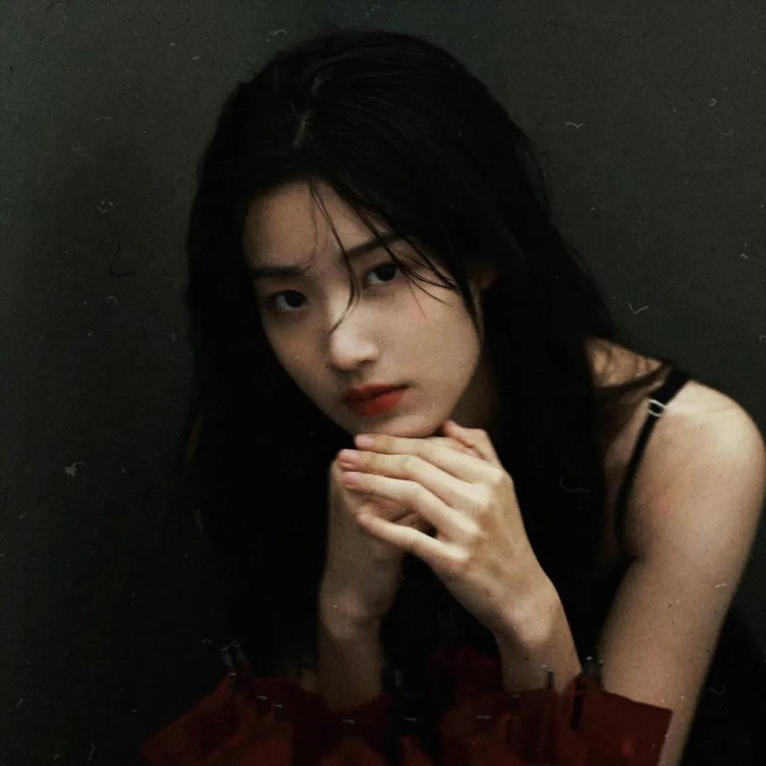 托梅斯的导盲犬